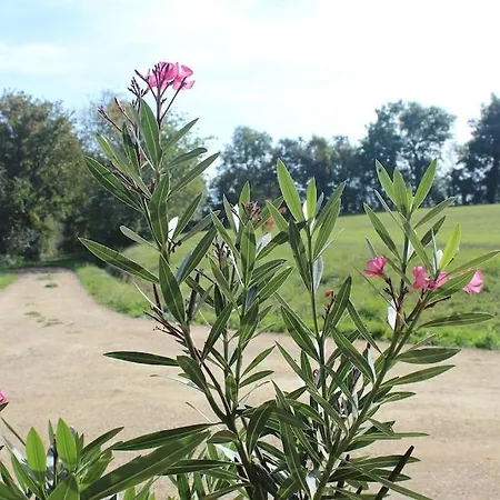 De Avec Piscine Privee Au Coeur De La Campagne