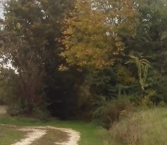 De Avec Piscine Privee Au Coeur De La Campagne Born-de-Champs
